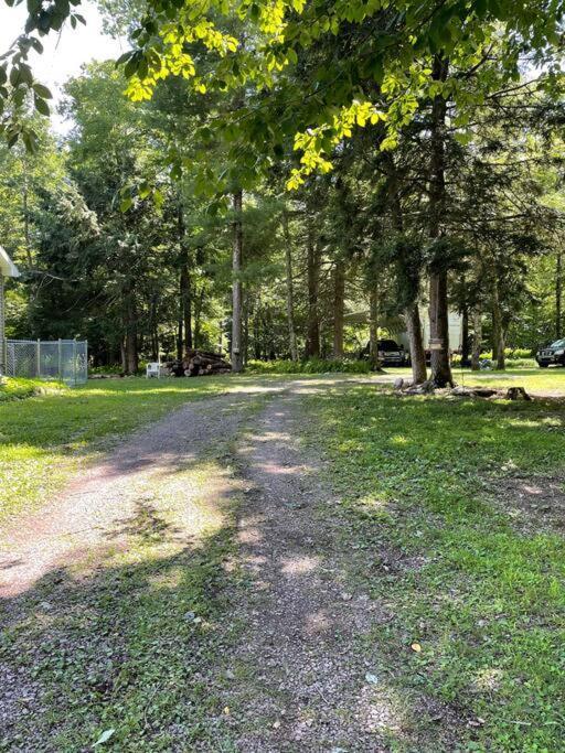 Falls Edge Farm Cottage Benton 外观 照片